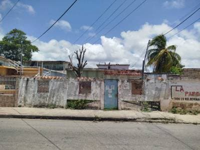 Terreno con bienhechuría